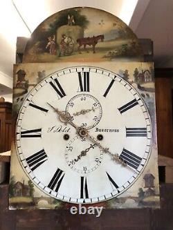 Georgian Oak Grandfather Clock. V Dold, Inverness, 8 Day